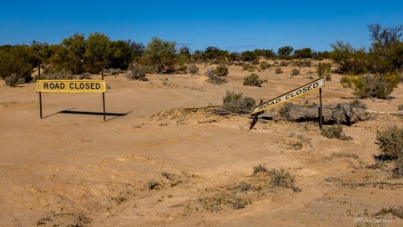 Sandy road with "ROAD CLOSED" and "DIVERSION" signs amid sparse vegetation.