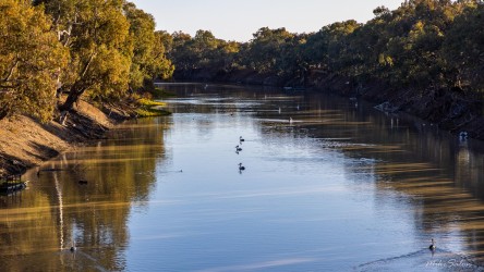 River with trees lining both banks under afternoon light.