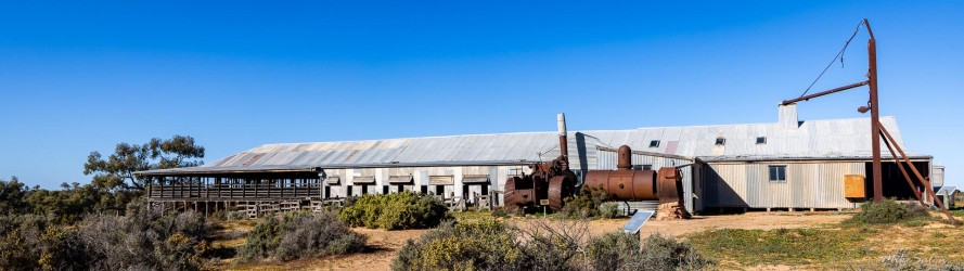 Large corrugated iron woolshed building surrounded by scrub and clear blue sky.