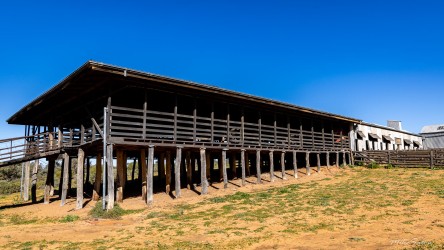 Elevated wooden structure supported by posts on sandy ground.