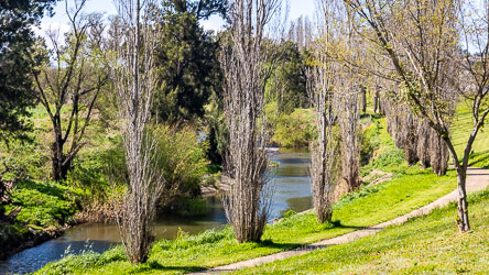 We guess this pretty river is the reason the site for Merriwa was chosen. The Merriwa River eventually runs into the Goulburn River west of Sandy Hollow. [5454]