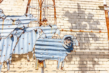 The ram, part of the corrugated iron mural outside the Merriwa Welcoming Centre. [5439]