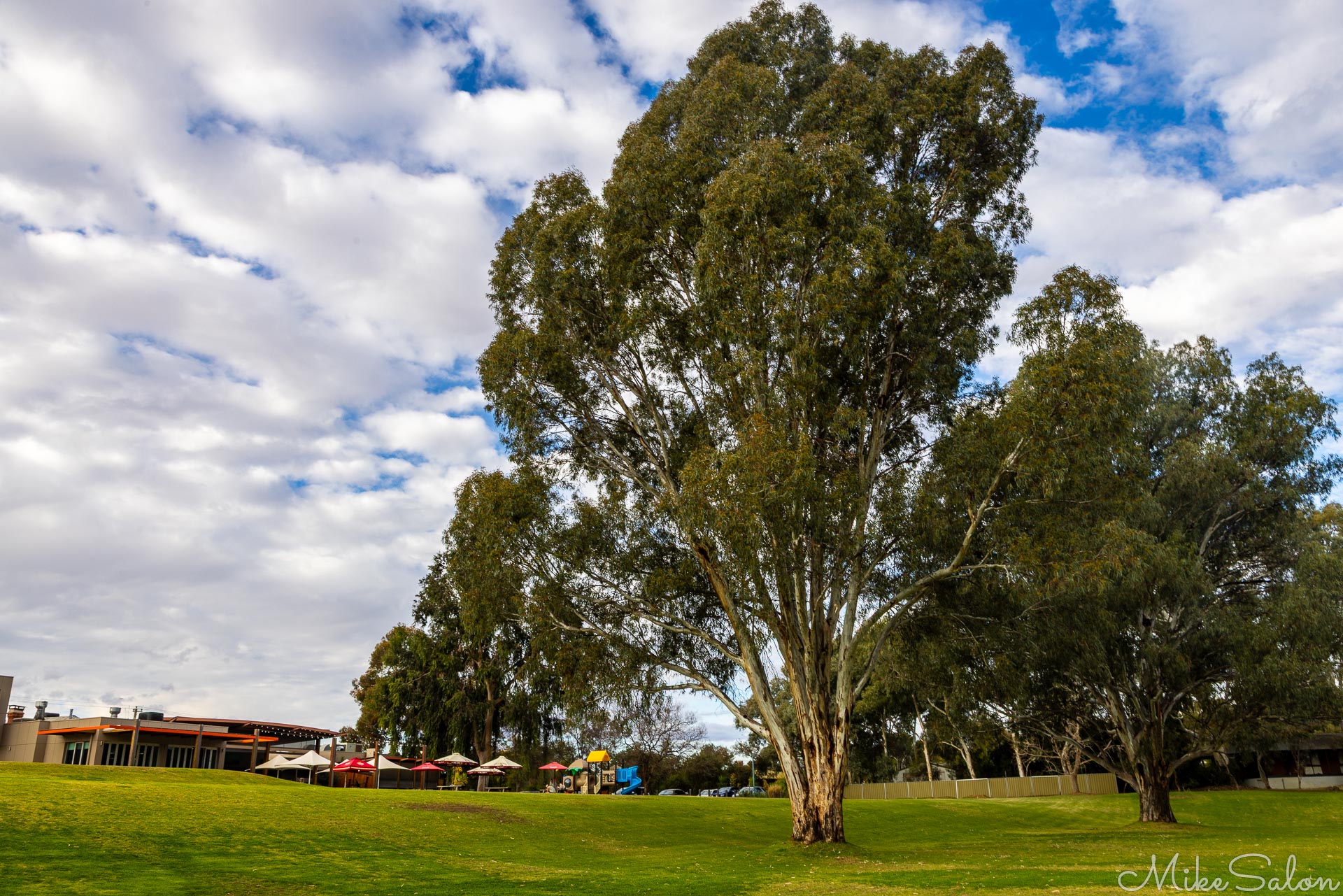 Country hotel building with large tree and open sky.