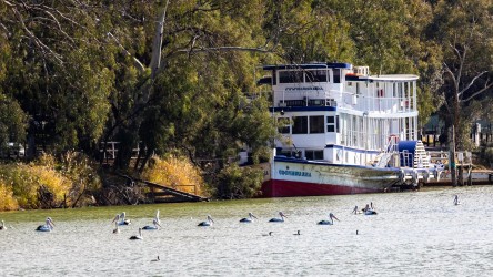 White and red paddleboat moored along riverbank with trees.