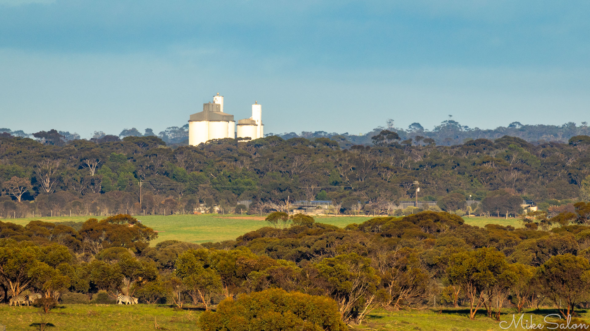 View across the zoo of the silos at the Monarto raidhead. [2587]