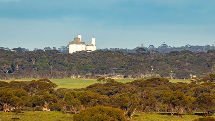 Seen from across the Zoo, with a few zebra, are the railhead silos of the Monarto locality. [2587]