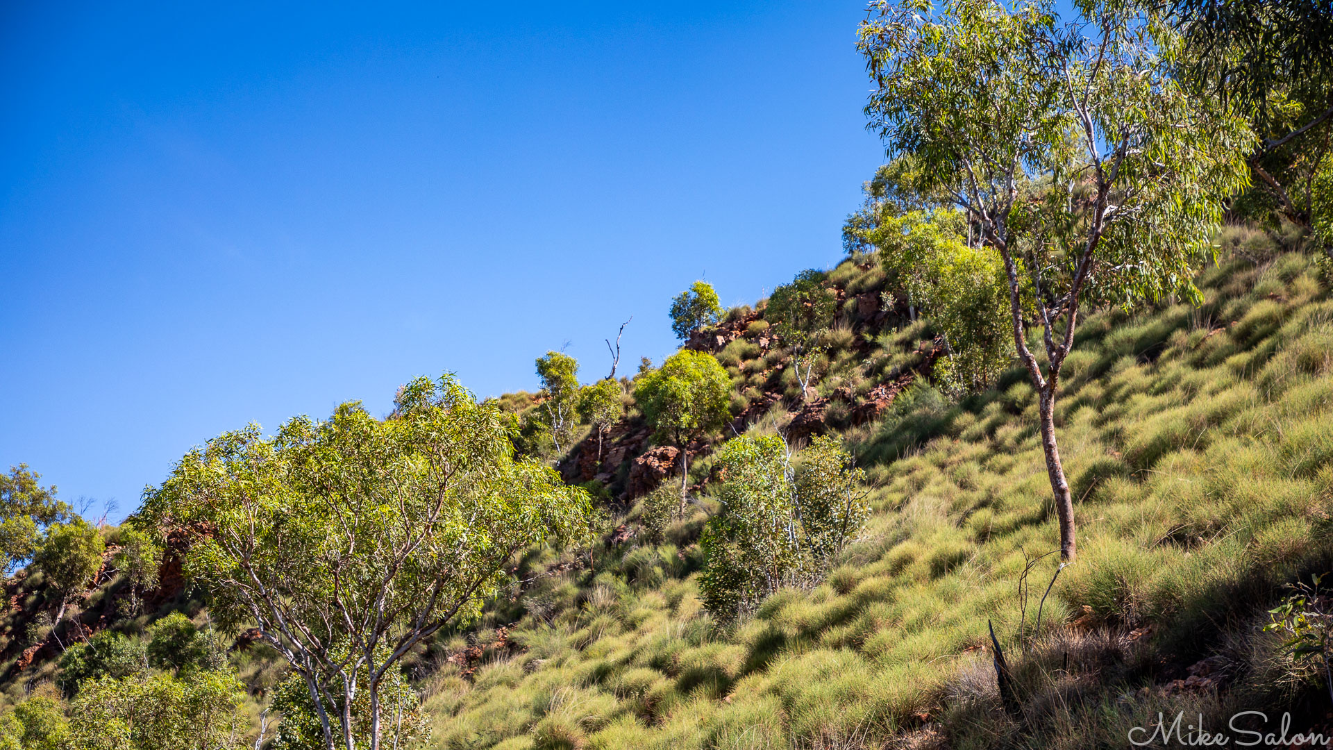 Hill of rocks and spinifex clumps. [0861]
