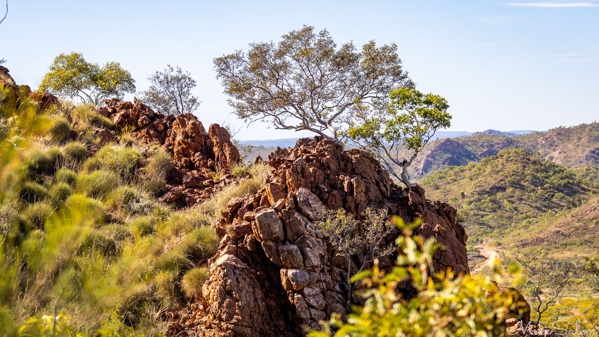 The rugged rock and spinifex terrain of Telstra Hill. [7131]