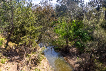 Muscle Creek, named but mispselt for its mussels, is well below flood levels in this photograph. [5573]