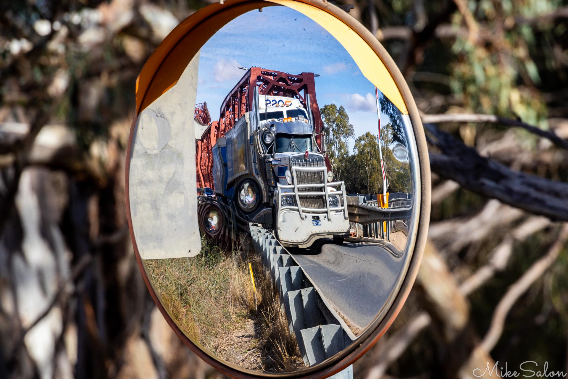 Large truck reflected in circular convex mirror with trees and roadside vegetation around.