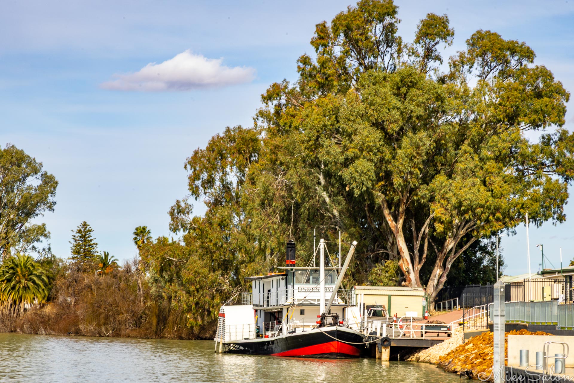 Paddle steamer moored on Murray River with tall trees and calm water reflecting the vessel.