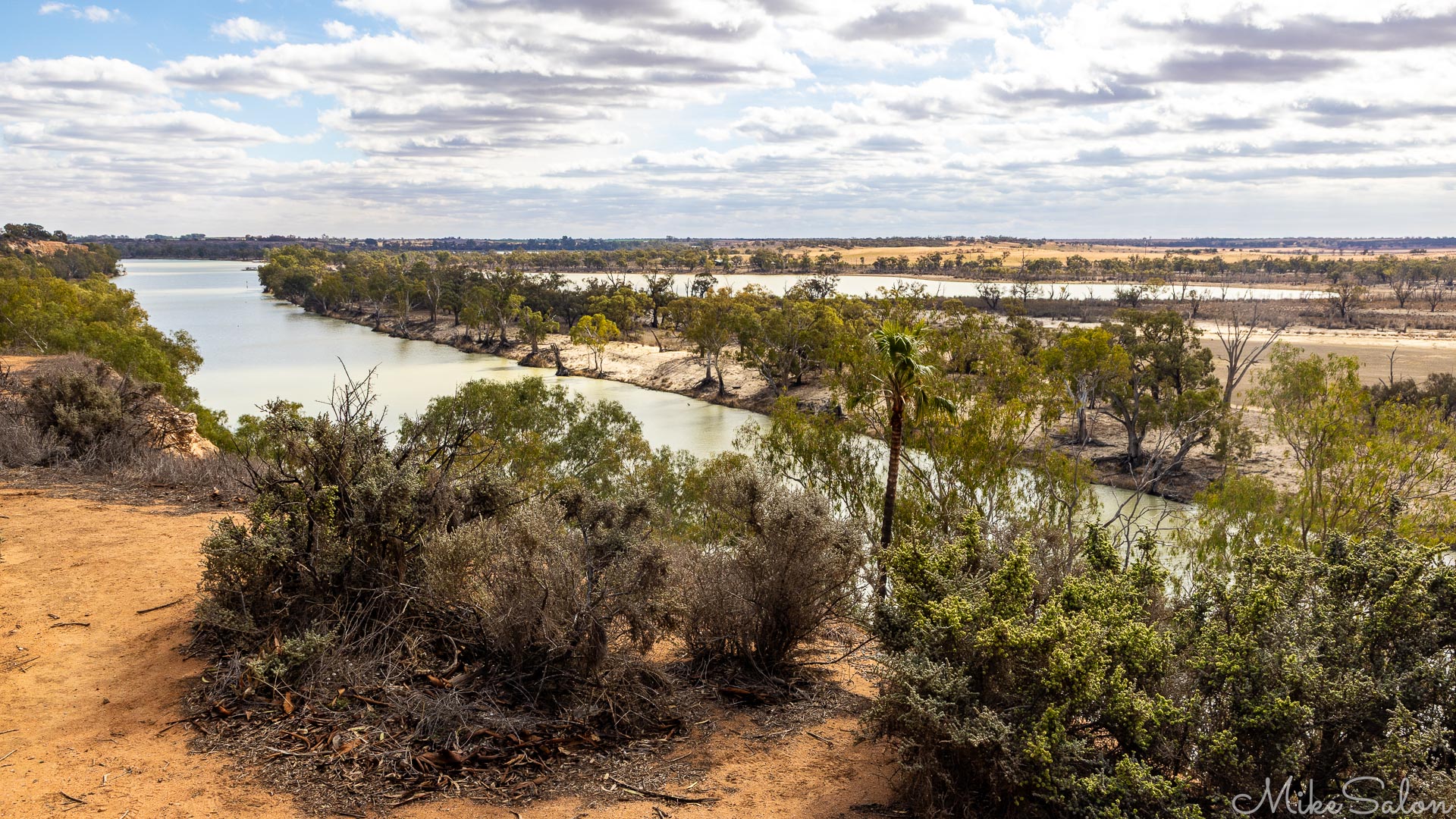 Elevated view of Murray River near Waikerie with trees, sandy banks, and cloudy sky.
