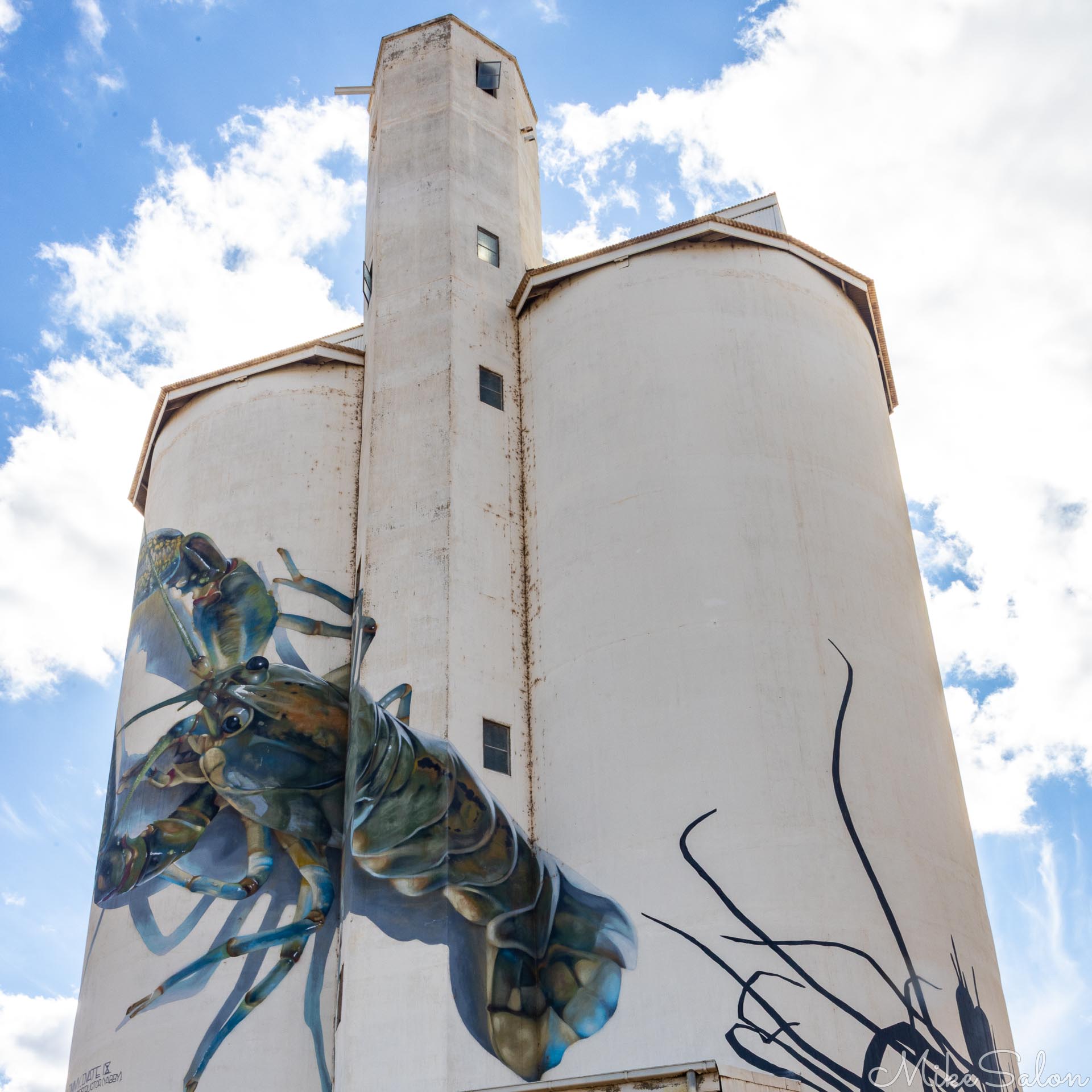 Large mural of yabby painted on white silo with blue sky and scattered clouds.