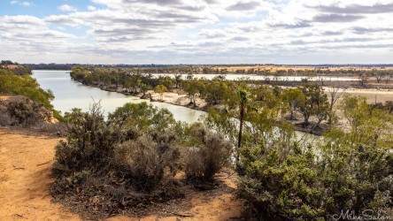 Elevated view of Murray River near Waikerie with trees, sandy banks, and cloudy sky.