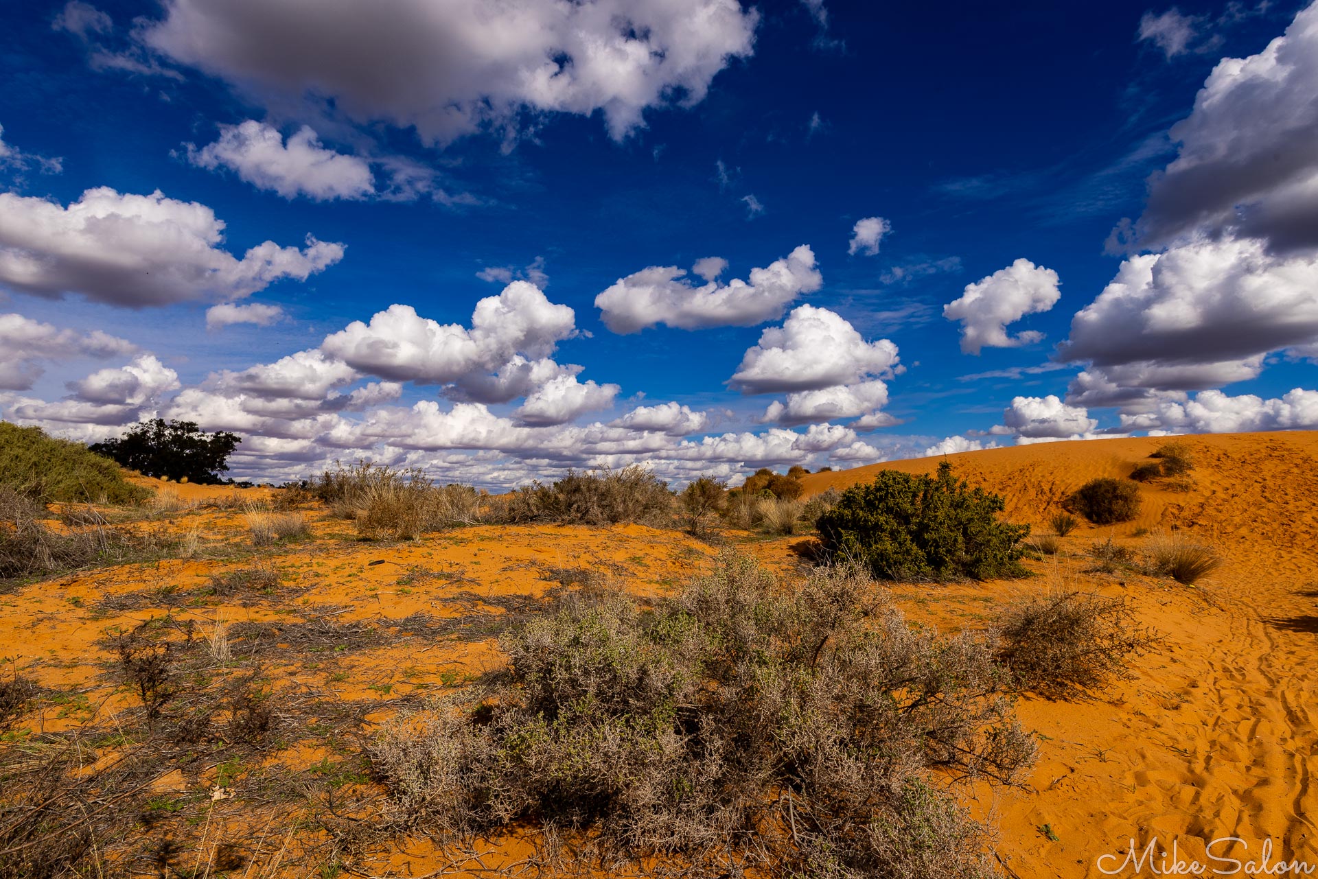 Close view of orange sand dunes with sparse vegetation and dramatic cloudscape.