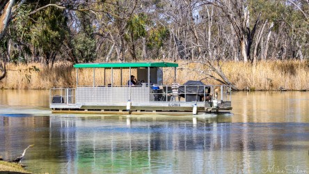 Small pontoon boat motoring along near riverbank with reeds and trees in background.