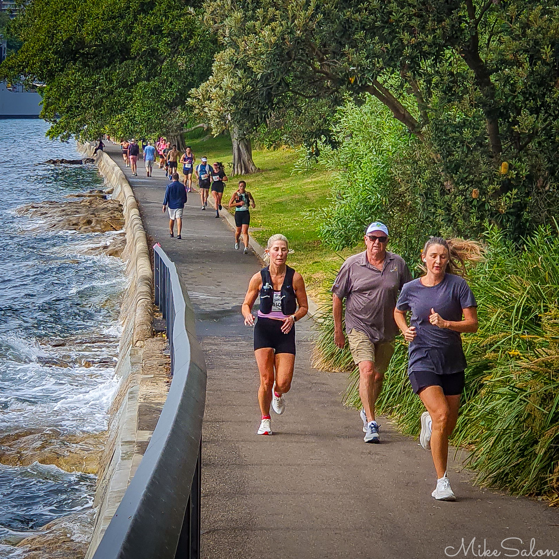 No interest in the Navy ships at Woolloomoo Bay. [3330]