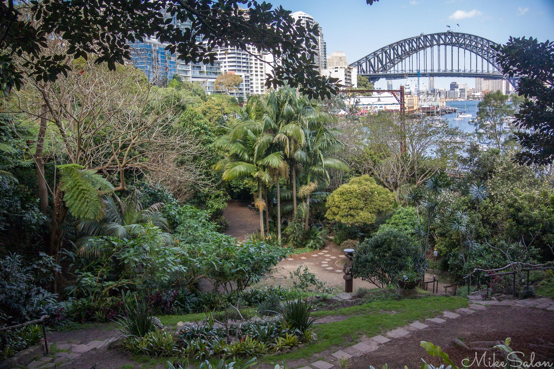 From Wendy Whitely's Secret Garden : Leased from the NSW Government Railway, this open to the public "Secret" garden is on Lavender Bay. (DSC_2716.jpg)<br>Camera: NIKON 1 AW1