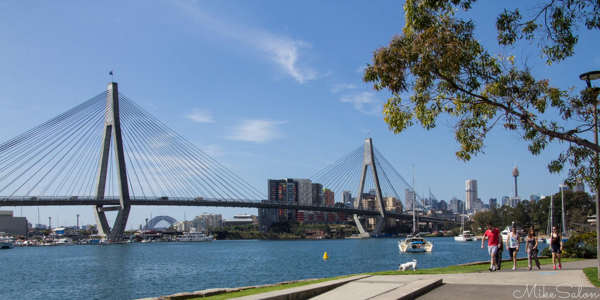 Anzac Bridge from Glebe : The Anzac Bridge (1995) across Blackwattle Bay replaced the 1903 Glebe Island Bridge. (IMG_0991.jpg)<br>Camera: Canon EOS 60D