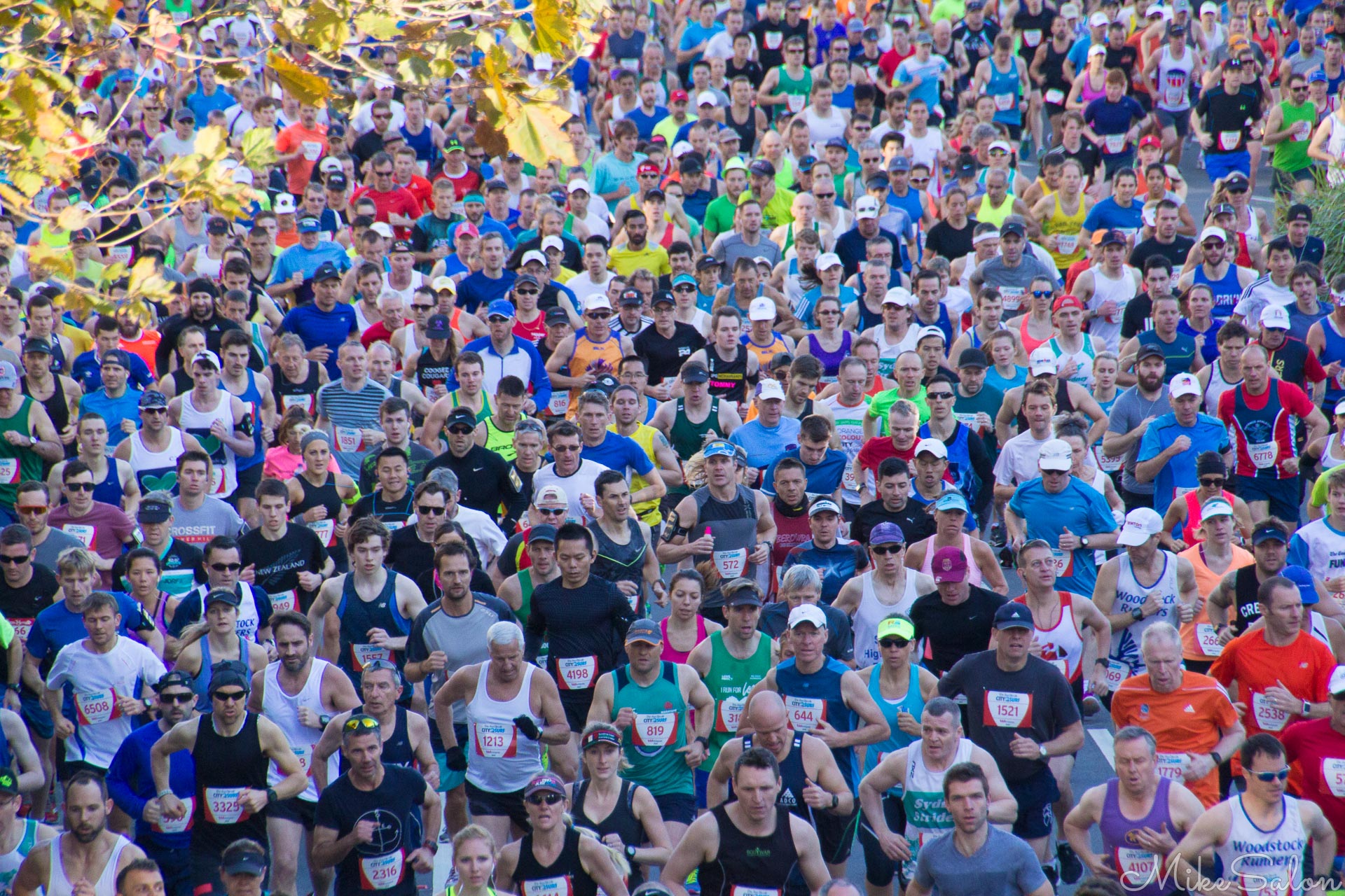 Massed Runners : Part of a 50,000 crowd powering up William Street in the annual 14km City to Surf run. (IMG_3663.jpg)<br>Camera: Canon EOS 60D