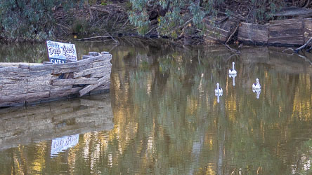 Old wooden shoring with "Deep Creek Marina Café" sign and four pelicans floating on calm water surrounded by riverbank vegetation.