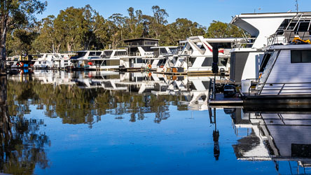 Row of modern houseboats moored at Deep Creek Marina near Moama, reflected in calm water with surrounding river gums under clear blue sky.