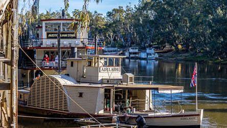 Historic paddle steamer P.S. Adelaide moored beside the Australian Star at Echuca Wharf on the Murray River, surrounded by river gums and calm water.