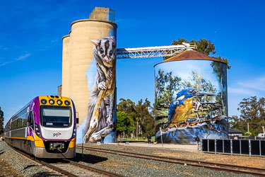 V/Line train departing Rochester silos painted with murals of a sugar glider and a kingfisher under a bright blue sky.