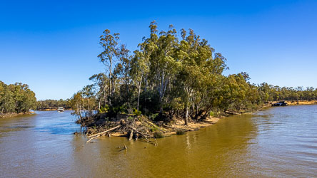 A tight turn in the river, the water extending to the background both left and right, with foliage and fallen trees at the apex of the turn.