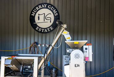 Stainless‑steel olive press and auger machinery beneath Murray Gums Estate sign on roll-formed metal wall.