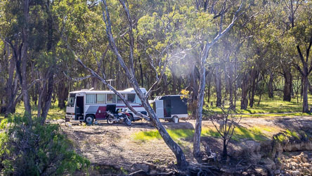 Motorhome and trailer parked beside the Murray River under tall gum trees, with a motorcycle in front and sunlight filtering through the forest canopy.