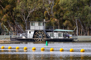 Side‑wheel paddlesteamer with registration ACH266N moored at Torrumbarry Weir, showing two‑deck structure, large paddlewheel, and "For Sale" sign against a backdrop of river gums.