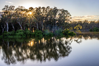 Sunrise at Torrumbarry Weir showing sunlight filtering through river gums and reflecting on the calm Murray River surface.