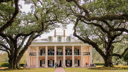 Oak Alley Plantation house in Louisiana framed by two rows of massive live oak trees with visitors on the porch and lawn.